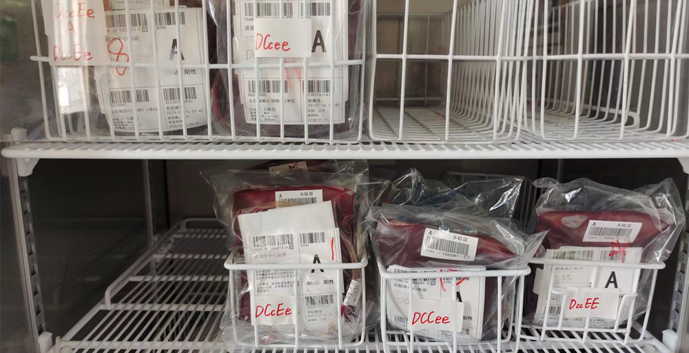 市中医医院输血科:血型分型检测助力 精准输血